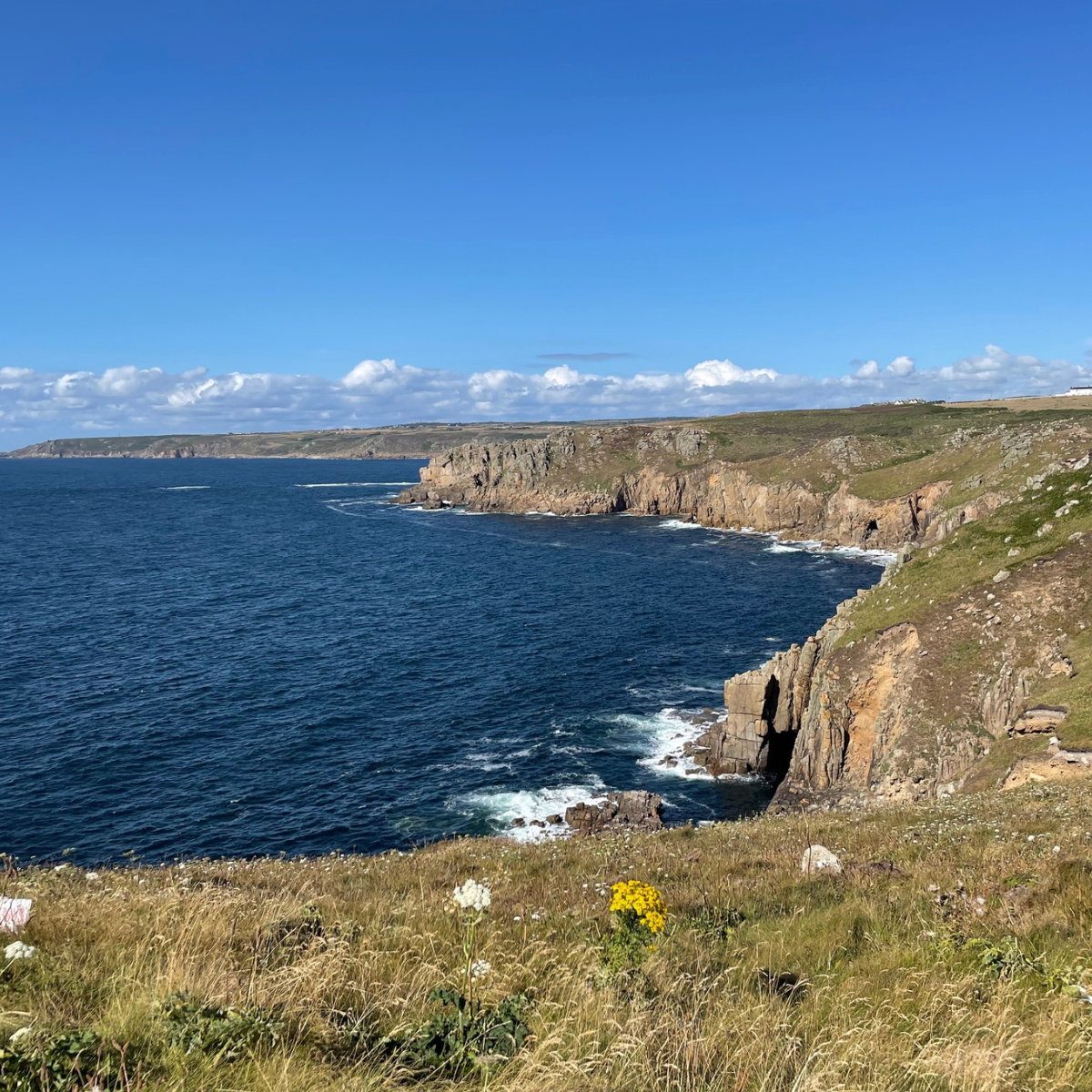 Kustklippor med gräs i förgrunden vid havet under en himmel med några moln.