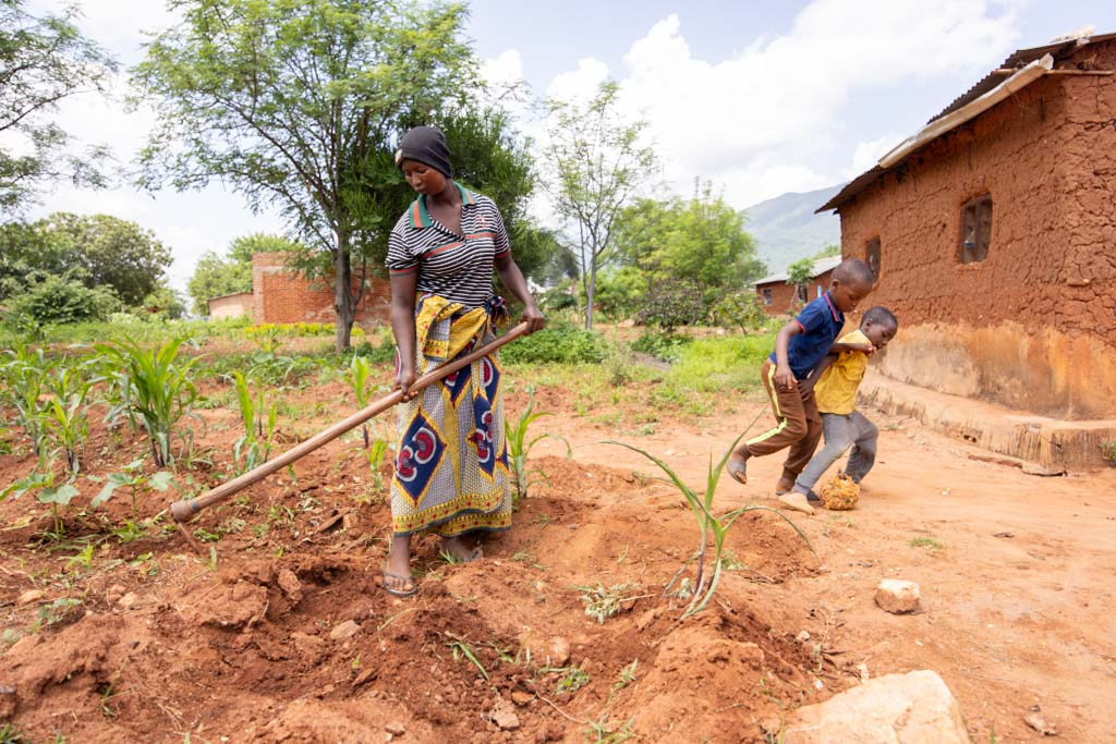 En kvinna använder en hacka för att arbeta med jorden vid ett hus av lertegel medan två pojkar leker i bakgrunden.